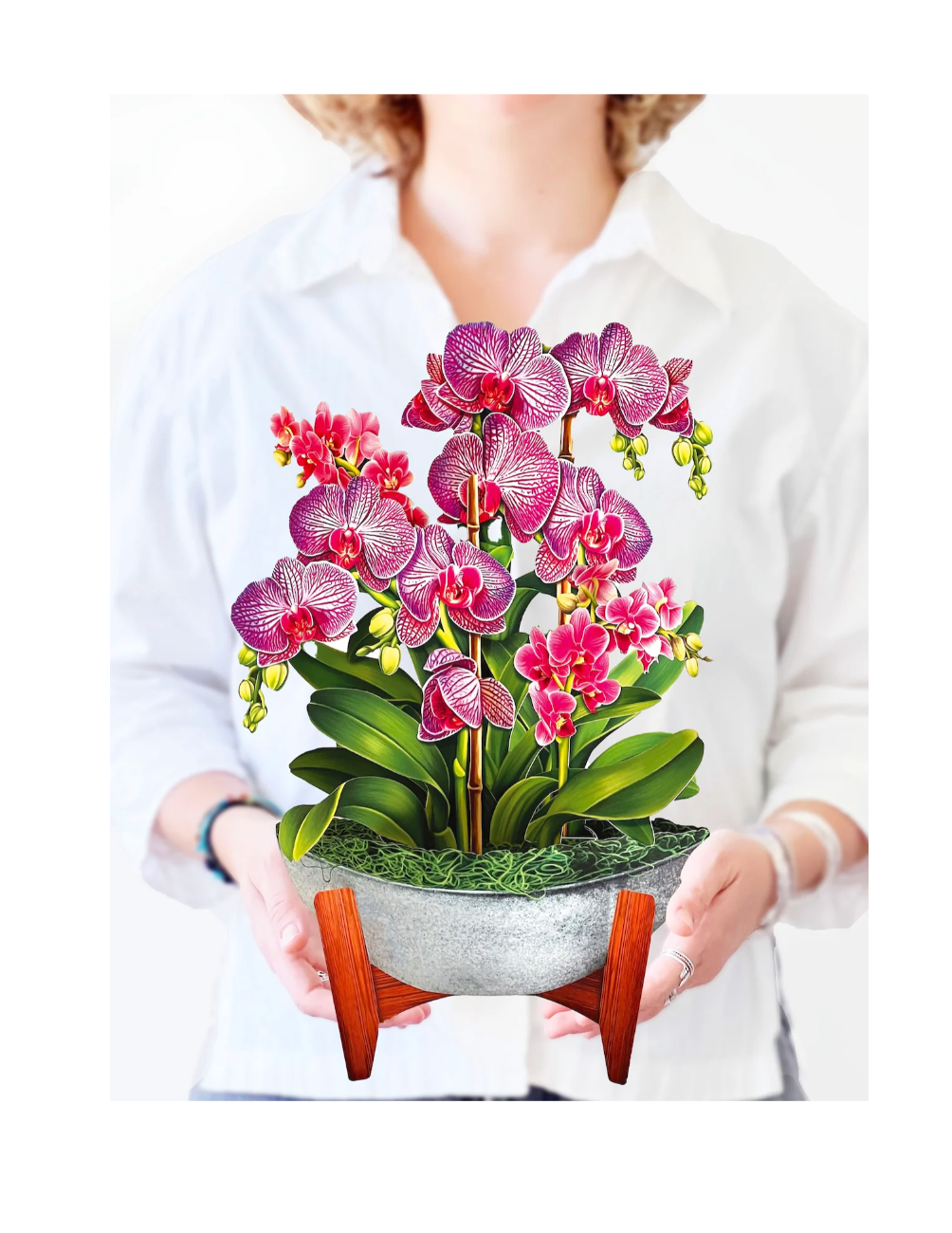 FreshCut Orchid Oasis Pop Up Bouquet