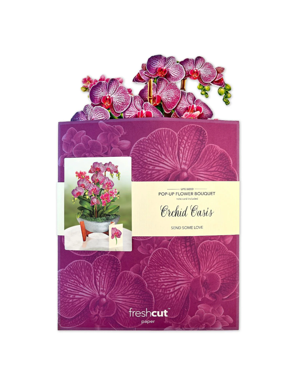 FreshCut Orchid Oasis Pop Up Bouquet