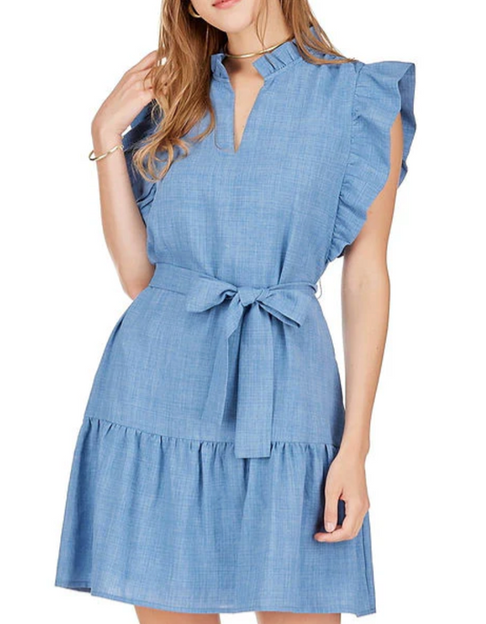 Joy Joy Denim Ruffle Dress
