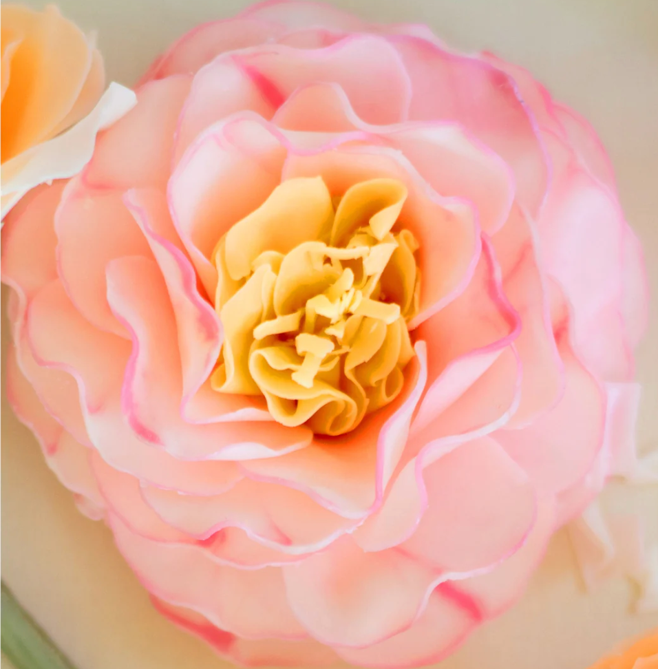 A'Marie's Elenora Floral Soap