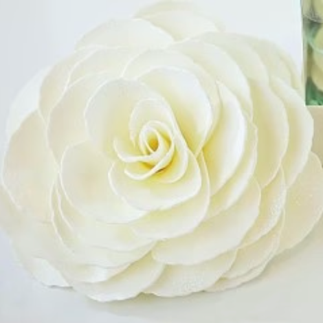 A'Marie's Graceful Day Gardenia