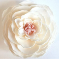 A'Marie's Butterfly Kisses Soap